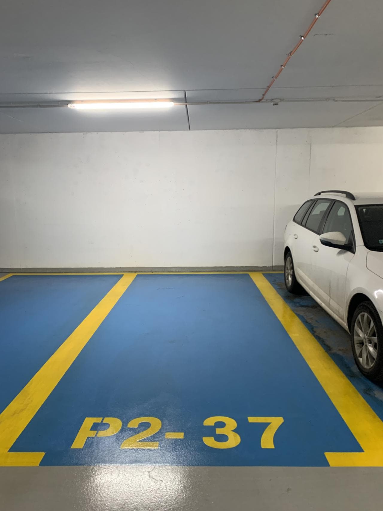 Wynajem miejsc parkingowych – ul. Reymonta